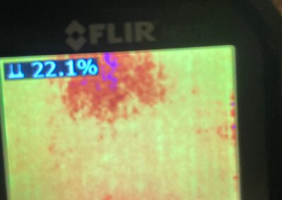FLIR moisture meter reading thermal image showing 22.1%