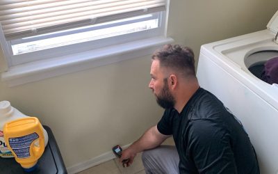 The Importance of Mold Remediation Services: Protecting Your Health and Property