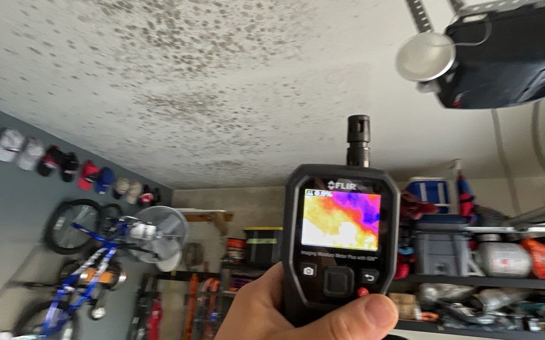 Water Damage Restoration San Antonio TX: How to Choose the Right Service
