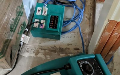Steps to Take After a Natural Disaster: Ensuring a Smooth Restoration Process