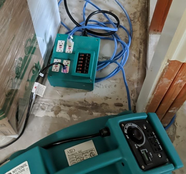 Steps to Take After a Natural Disaster: Ensuring a Smooth Restoration Process