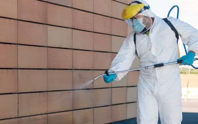 Understanding the Risks of Biohazard Cleaning: Importance of Professional Services